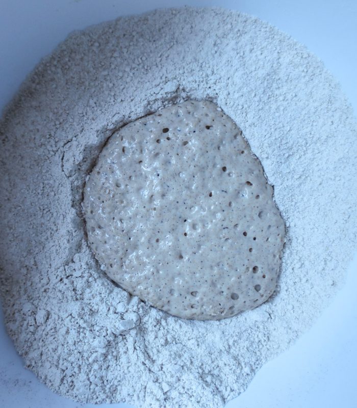 omládek 3_edited_edited