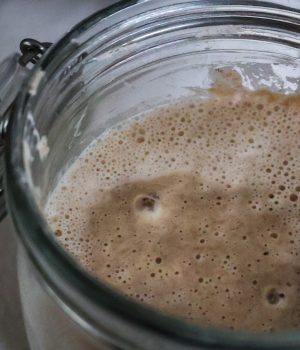 Jak si založit pšeničný kvas