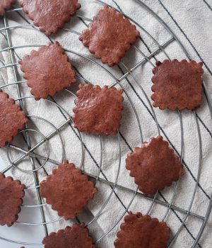 Čokoládové sušenky s kakaovým máslem